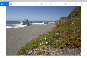 Captura de pantalla de un archivo .nef en Microsoft Photos